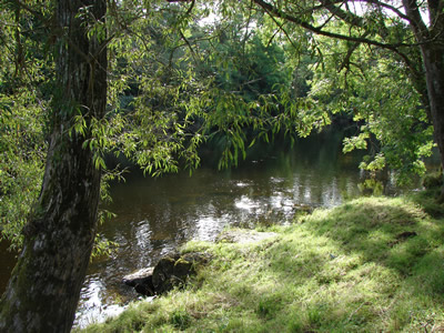 Llangoed Orchard Pool